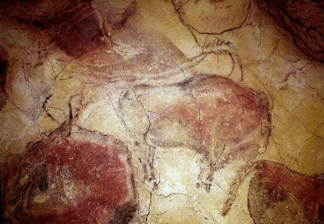 Pré-história: pintura rupestre "bisão em repouso" do Paleolítico Superior (Magdaleniano) (entre 16500 e 14000 anos atrás) Caverna do Bisonte da Idade da Pedra, Altamira, Santander, Espanha de Prehistoric Prehistoric