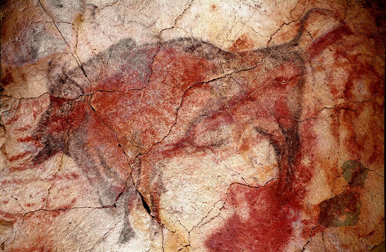 Pré-história: pintura rupestre "bisão em repouso" do Paleolítico Superior (Magdaleniano) (entre 16500 e 14000 anos atrás) Caverna do Bisonte da Idade da Pedra, Altamira, Santander, Espanha de Prehistoric Prehistoric