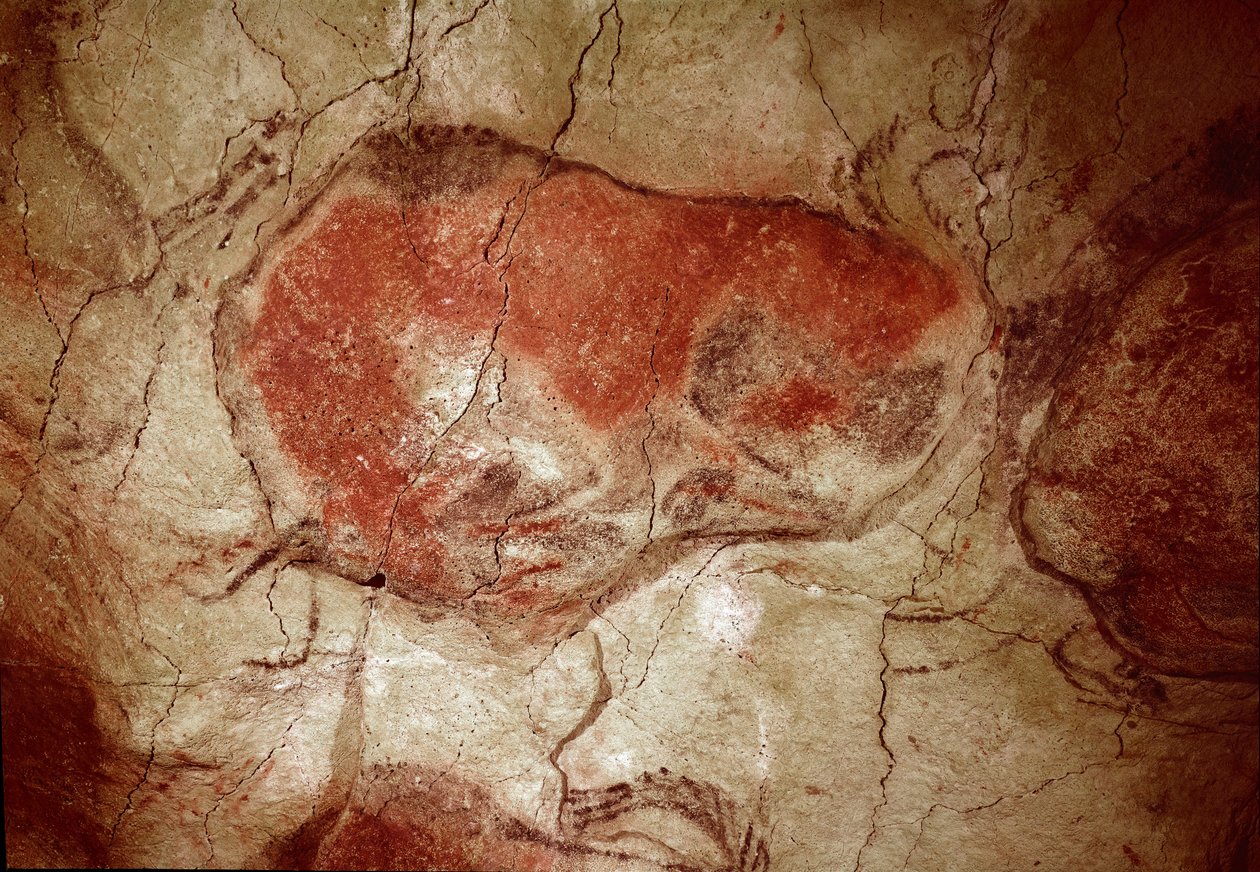 Pré-história: pintura rupestre "bisão em repouso" do Paleolítico Superior (Magdaleniano) (entre 16500 e 14000 anos atrás) Caverna Bison Age, Altamira, Santander, Espanha - Pré-história: bisão em repouso. pintura rupestre, Paleolítico Superior (Magdaleniano de Prehistoric Prehistoric