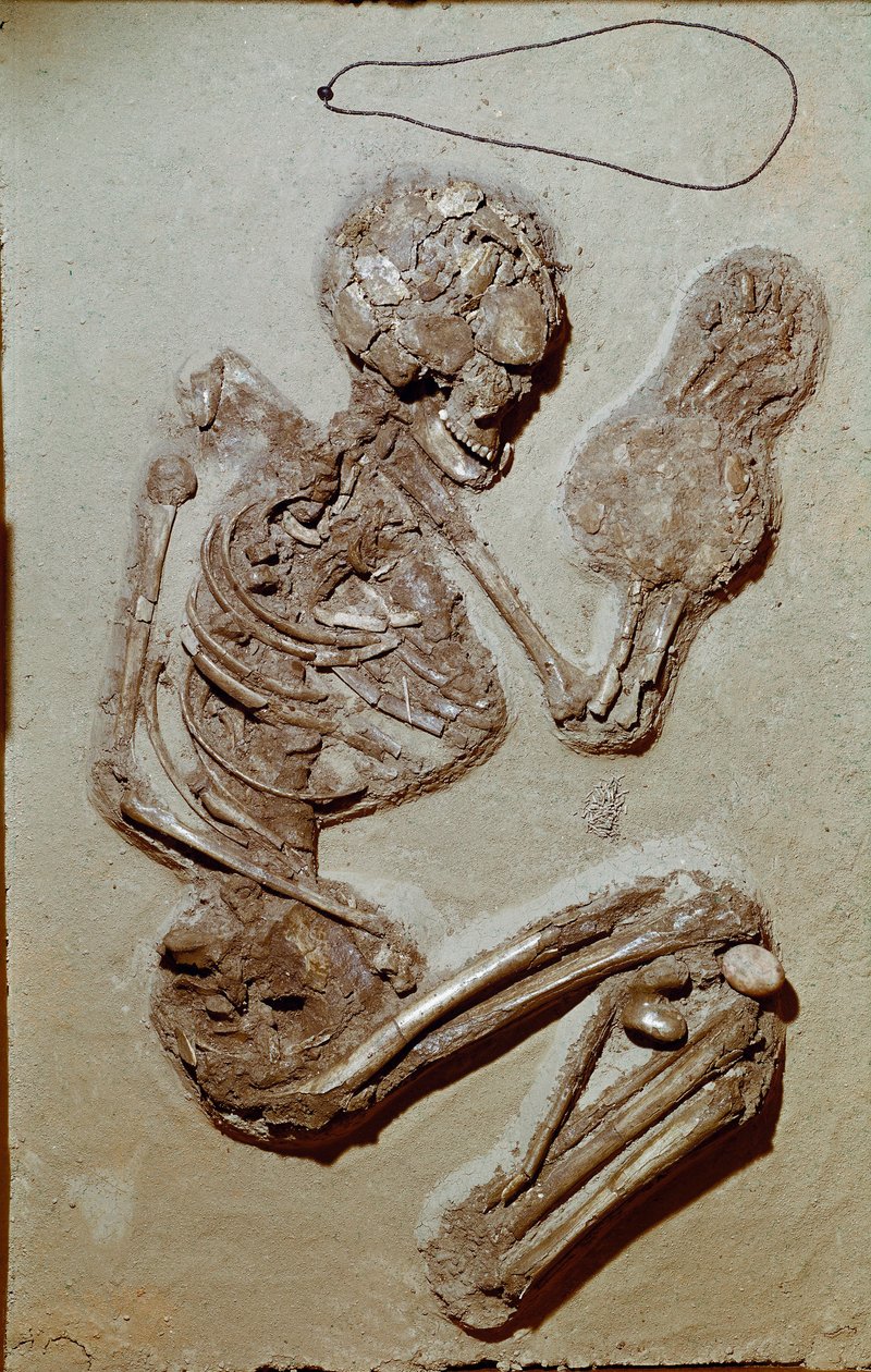 Pré-história: esqueleto feminino datado do Neolítico Superior. Cultura de Chiozza. 2900-2700 AC. Reggio Emilia, Musei Civici, Museo Chierici, Itália. de Prehistoric Prehistoric