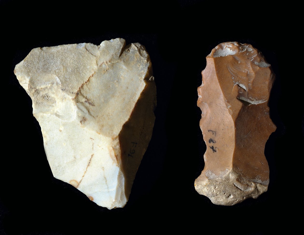 Pré-história: ferramentas de sílex. Neolítico, Idade da Pedra. Museu Arqueológico de Fermo, Itália. de Prehistoric Prehistoric
