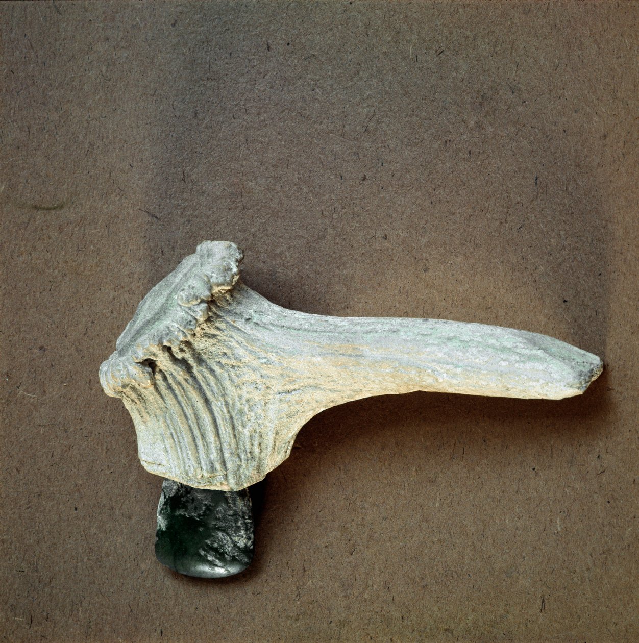 Pré-história: machado de pedra verde com cabo de chifre de veado da caverna de Pollera (Finale Ligure), Ligúria. Neolítico Médio, Idade da Pedra. Genes, museo di archeologia ligure de Prehistoric Prehistoric
