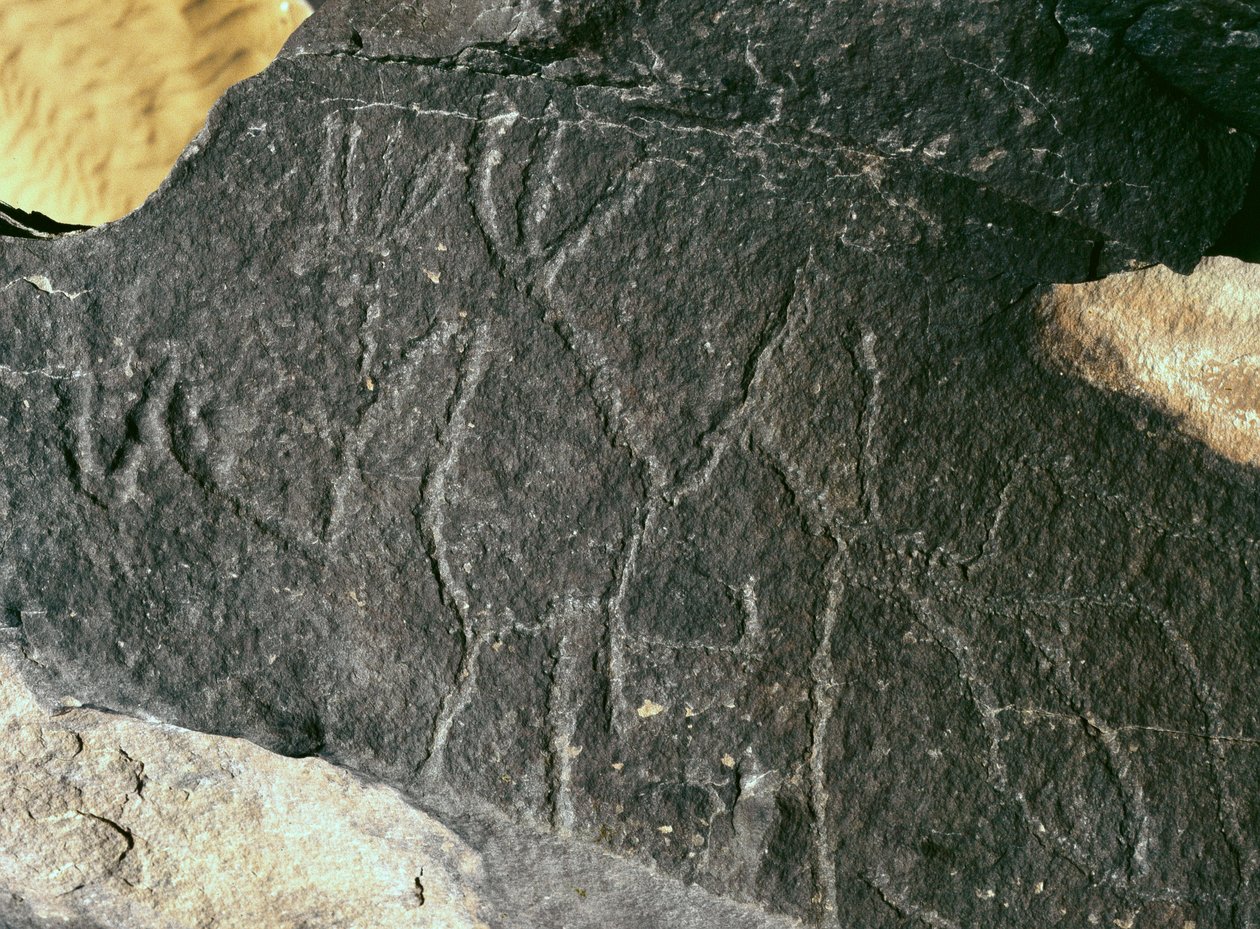 Pré-história, arte rupestre: pedra tumular. Idade da Pedra 5000-2000 AC. Taghit, planalto Haut du Hoggar (Ahaggar), Argélia de Prehistoric Prehistoric