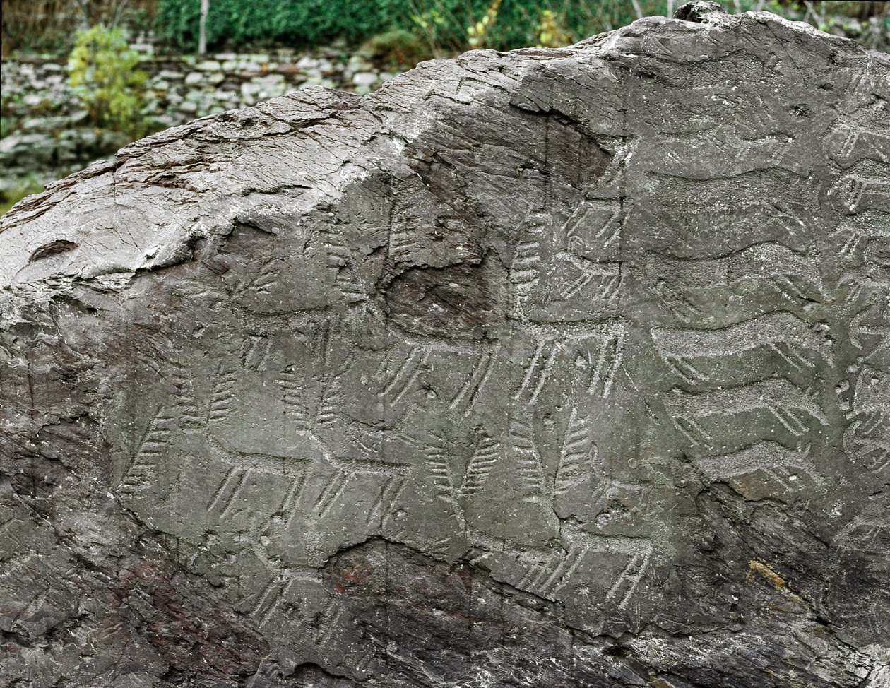 Pré-história, arte rupestre: pedra tumular de representações de cervos, gado. A idade do cobre. Período Eneolítico (calcolítico). Roche n. 1. Cemmo (Brescia) Parco archeologico nazionale dei Massi di Cemmo, Itália. de Prehistoric Prehistoric