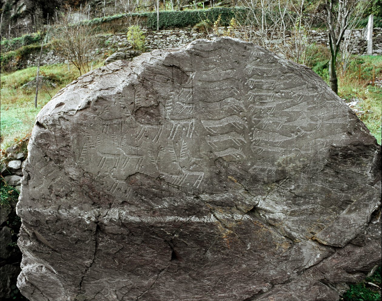 Pré-história, arte rupestre: pedra tumular de representações de veados, gado e punhais. A idade do cobre. Período Eneolítico (calcolítico). Roche n. 1. Cemmo (Brescia) Parco archeologico nazionale dei Massi di Cemmo, Itália. de Prehistoric Prehistoric
