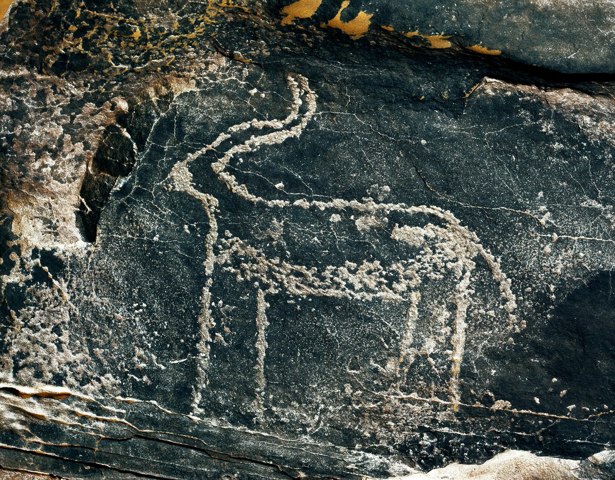Pré-história, arte rupestre: pedra tumular da representação de um antílope. Idade da Pedra 5000-2000 AC. Taghit, planalto Haut du Hoggar (Ahaggar), Argélia de Prehistoric Prehistoric