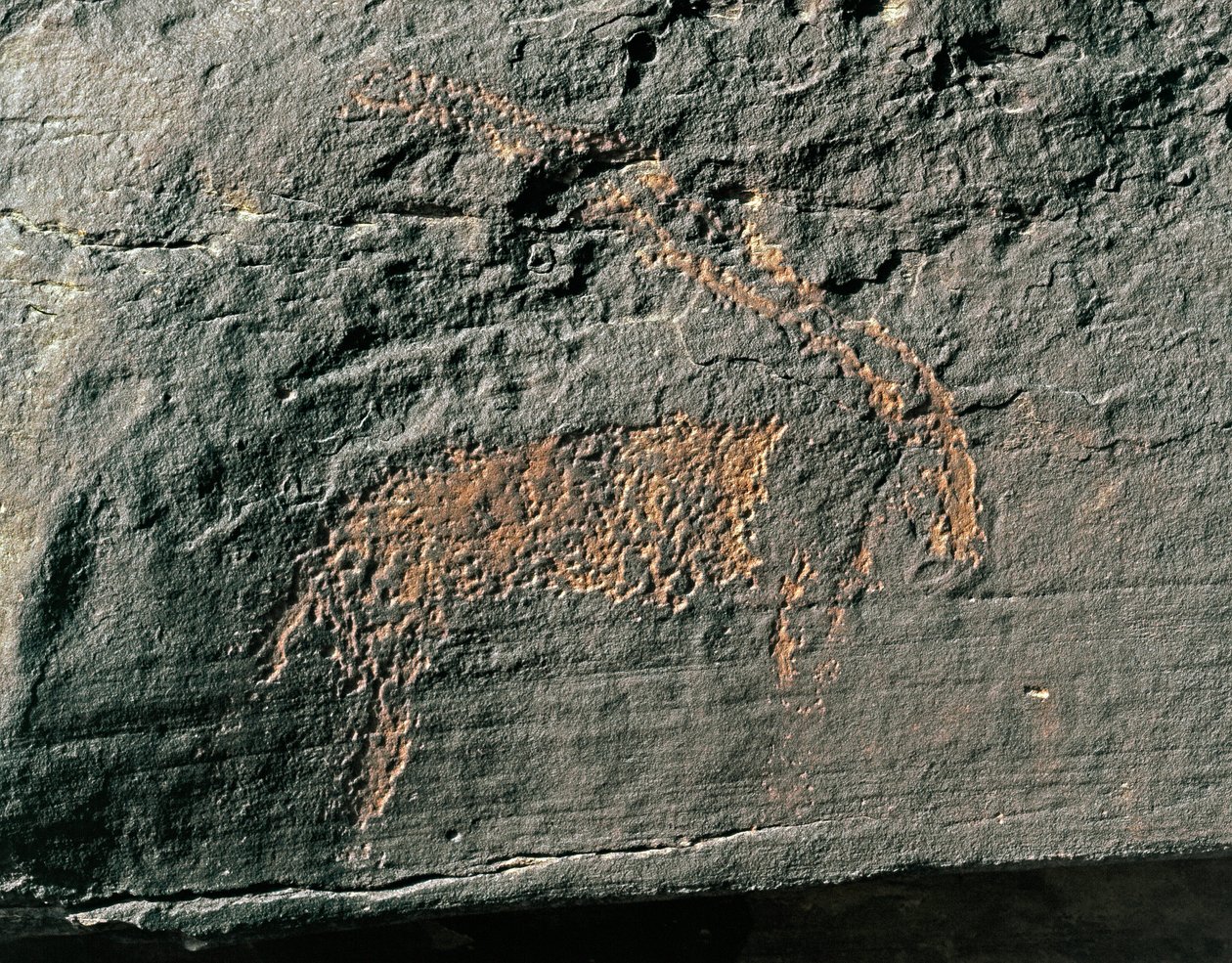 Pré-história, arte rupestre: pedra tumular da representação de um antílope. Idade da Pedra 5000-2000 AC. Taghit, planalto Haut du Hoggar (Ahaggar), Argélia de Prehistoric Prehistoric