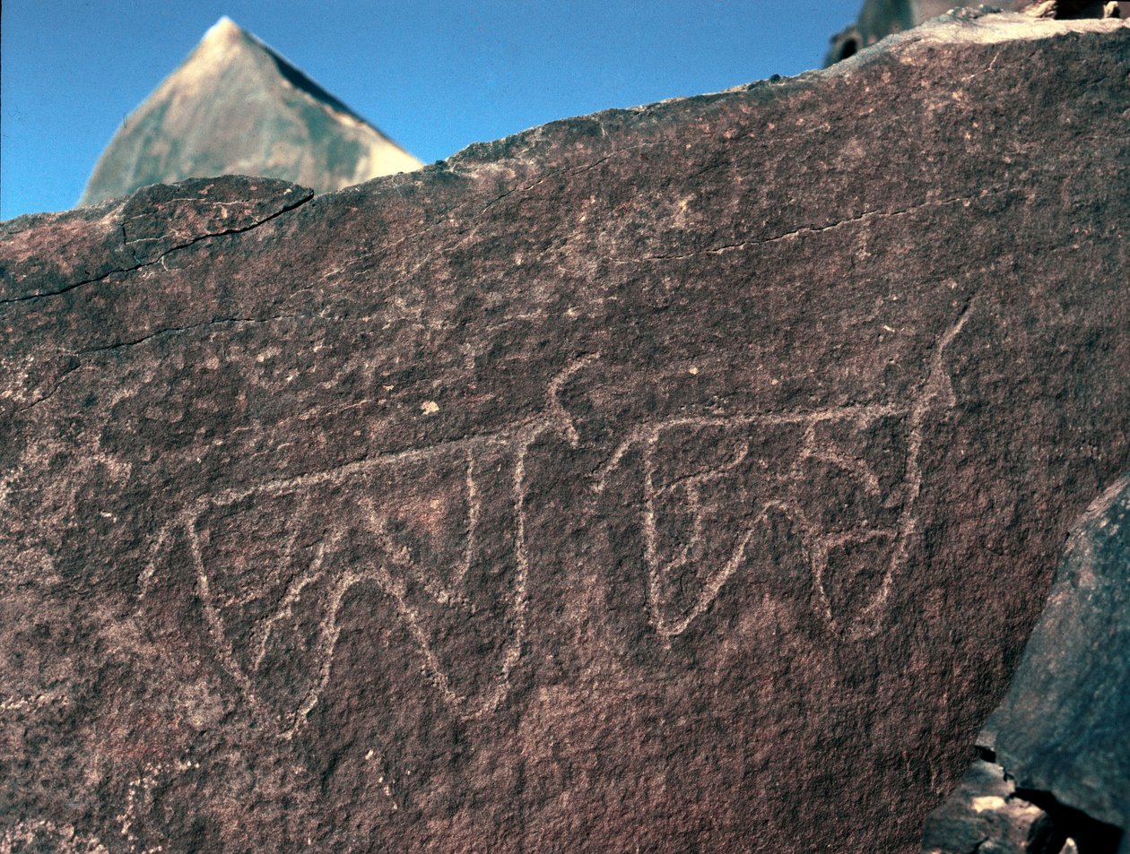 Pré-história, arte rupestre: pedra tumular da representação do gado. Estilo tazina. Idade da pedra 5000-2000 AC. Taghit, planalto Haut du Hoggar (Ahaggar), Argélia de Prehistoric Prehistoric
