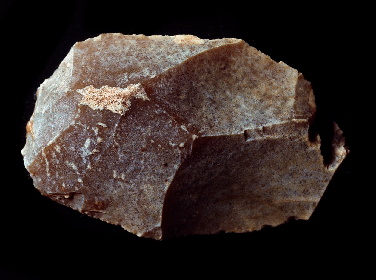 Pré-história: raspador cortado na pedra. Paleolítico Superior, Madalena. Verone, Museo Civico di Storia Naturale, Itália de Prehistoric Prehistoric