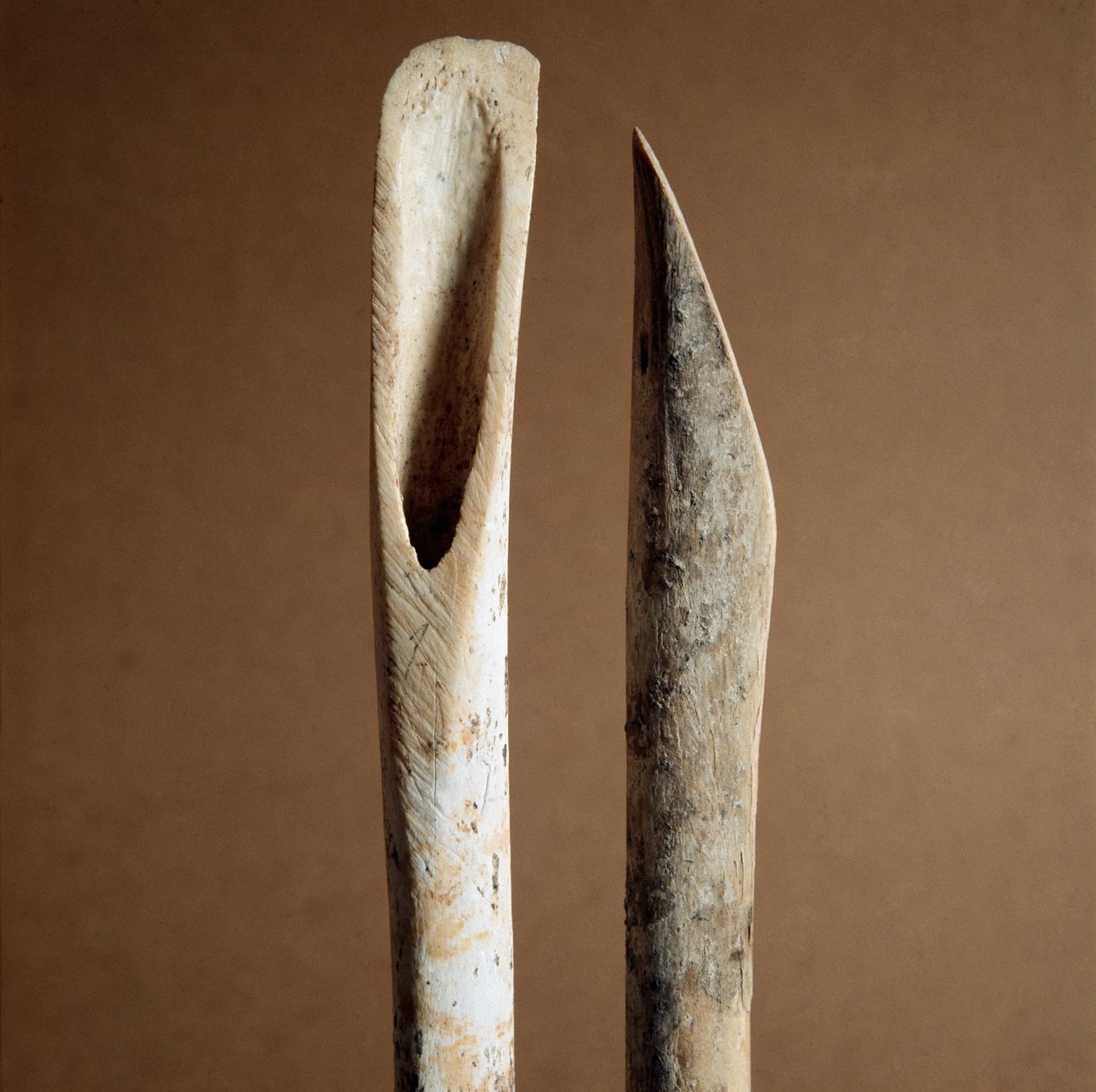Pré-história: ferramentas para remover a casca das canelas de cabras e ovelhas do Necropole de Arene Candide (Finale Liguria), Liguria. Neolítico Médio, Idade da Pedra. Genes, museo di archeologia ligure de Prehistoric Prehistoric