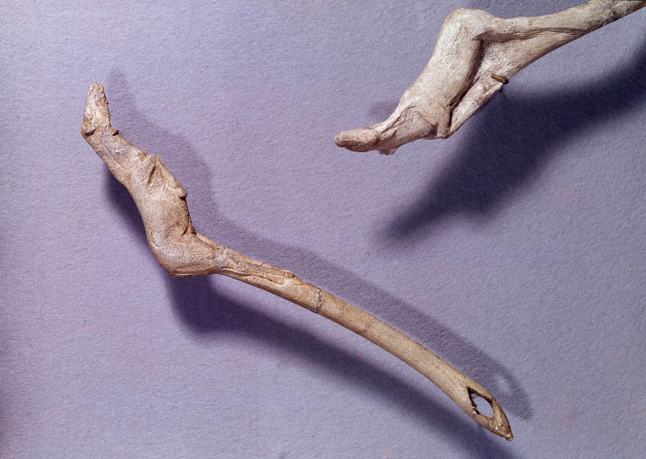 Pré-história: dois propulsores disseram "para o cavalo saltador" feito em madeira de rena. Período do Magdaleniano Médio. Saint Germain en Laye, Museu Nacional de Arqueologia de Prehistoric Prehistoric