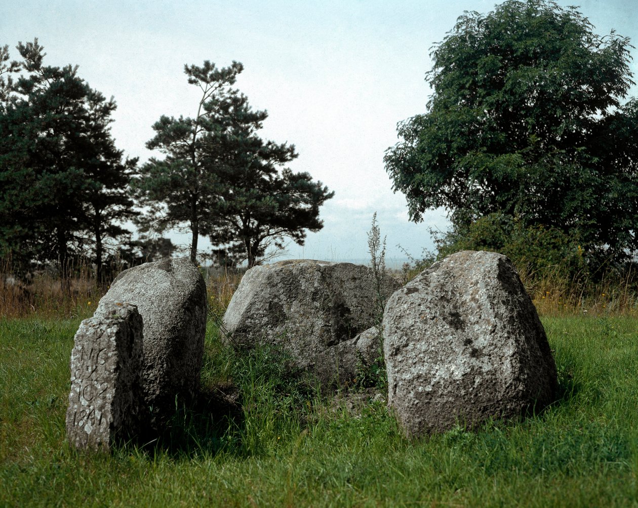 Pré-história: vista do dólmen de Chianca com o seu corredor de entrada. Idade da Pedra, Neolítico. Século VI-XIII AC. Bisceglie, Puglia, Itália. de Prehistoric Prehistoric