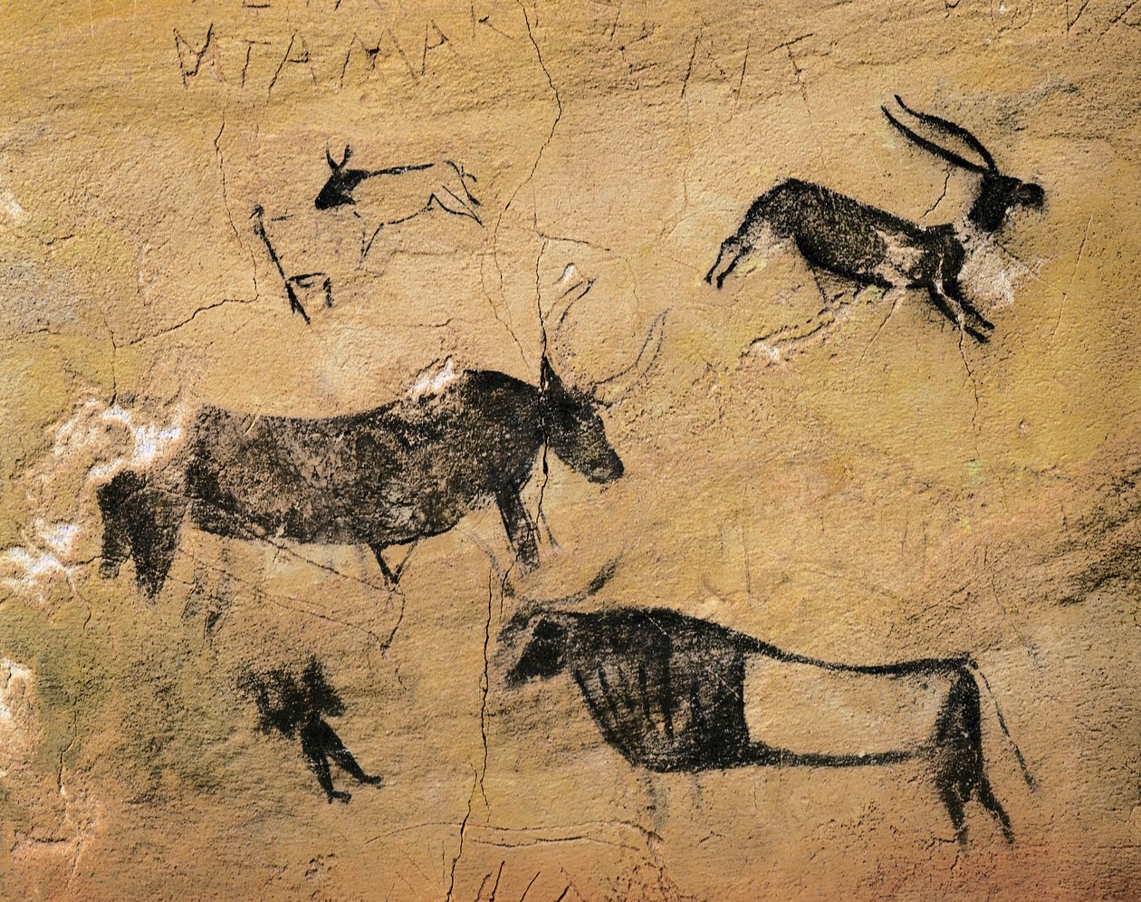 Arte rupestre: Cervids e vacas. De Espanha, El Cogul, Cave dels Moros. Pré-história, Mesolítico (fresco) de Prehistoric Prehistoric