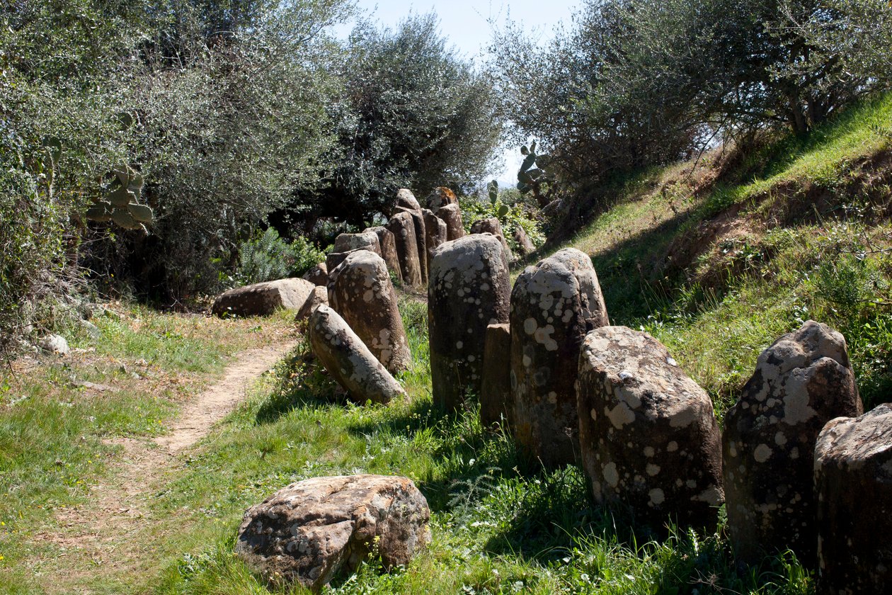 O sítio arqueológico do cromlech M Zora, em Sidi El Yamani (Marrocos). Monte de enterro neolítico (2000 a.C.), rodeado por 167 monólitos. de Prehistoric Prehistoric