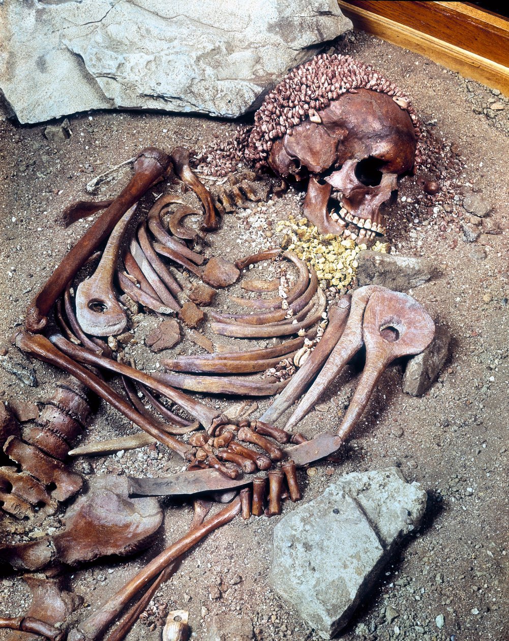 Túmulo do Paleolítico Superior. Esqueleto da etnia Combe Capelle encontrado na caverna de Arene Candide conhecido como o "jovem príncipe", na Ligúria. 16610 anos antes de Cristo. de Prehistoric Prehistoric