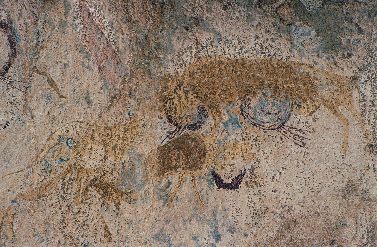 Animais selvagens (pintura de cavernas) de Prehistoric Prehistoric