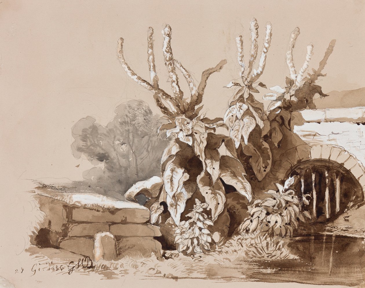 Estudo de plantas por uma vala, com acréscimos de um instrutor, 1856 (lápis, tinta sépia e guache sobre papel) de Prince Gaetano Maria Federico di Borbone