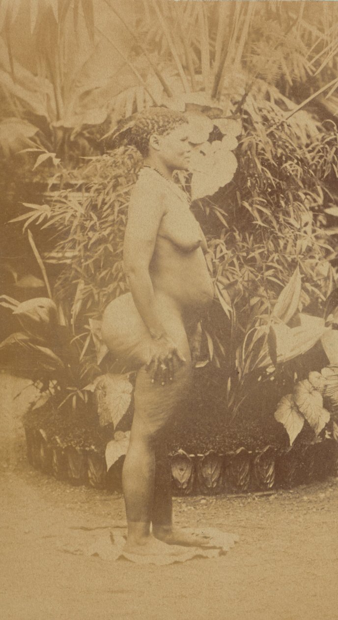 [Mulher sul-africana, nua]. de Prince Roland Napoleon Bonaparte