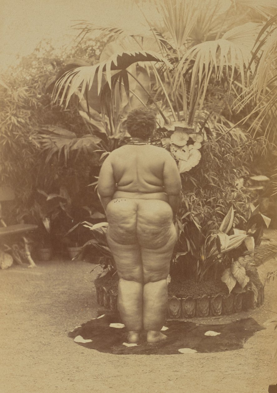 [Mulher sul-africana, nua]. de Prince Roland Napoleon Bonaparte