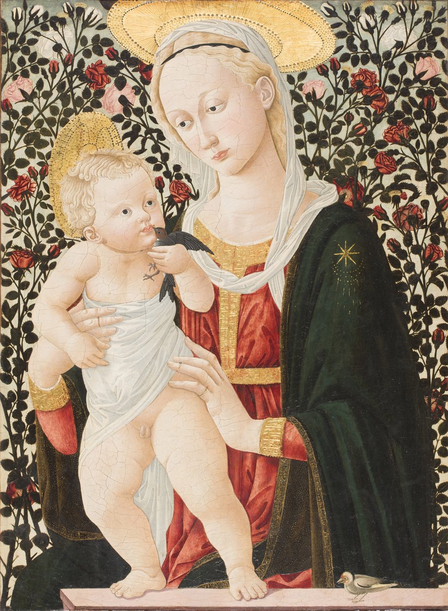 Madonna das rosas, c.1485-90 (tempera) de Pier Francesco Fiorentino