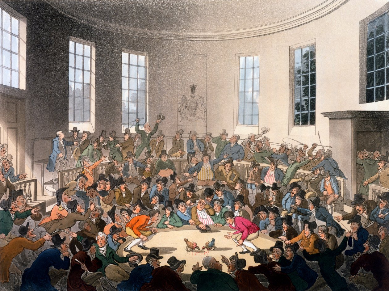 O Royal Cockpit, passeio de gaiola, St James, ilustração de &39;Repositório de artes de Ackermann&39;, 1808 de Pugin and Rowlandson