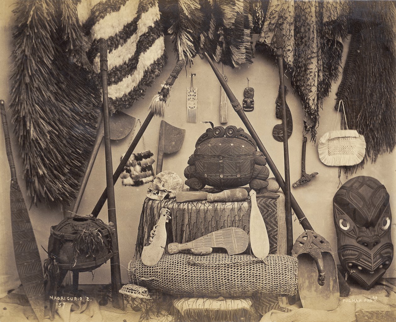 Maori Curios, 1870s (albumen print) de Pulman Studio