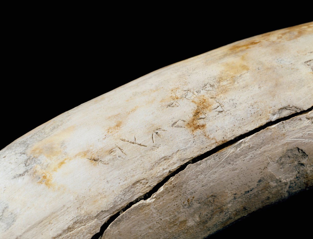 Arte púnica (cartaginês): defesa em marfim com inscrição gravada. De Bajo de la Campana (Cartagena) Museo de Cartagena Cartagena Espanha de Punic Punic