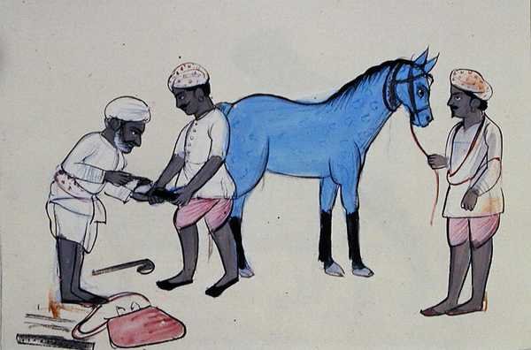 Cavaleiro Sapateiro (Halband) c.1890 (aquarela sobre papel) de Punjabi School