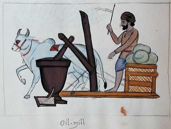 Fábrica de óleo, c.1890 (aguarela sobre papel) de Punjabi School