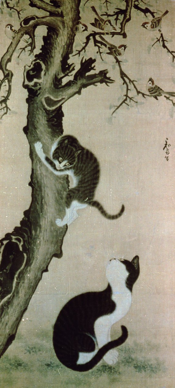 Gatos do século XVII (tinta sobre seda) de Pyon Sang Byok