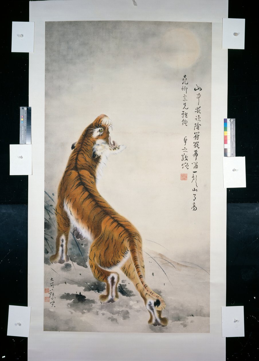 Tigre de Qifeng Gao