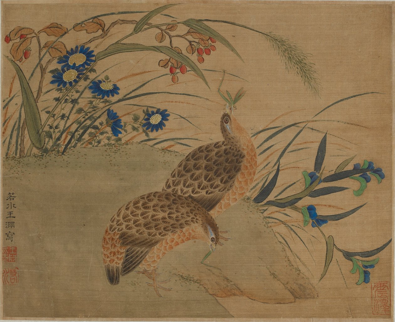 Dois, codorniz, comer, gafanhotos, sob, flores de Qing Dynasty Chinese School