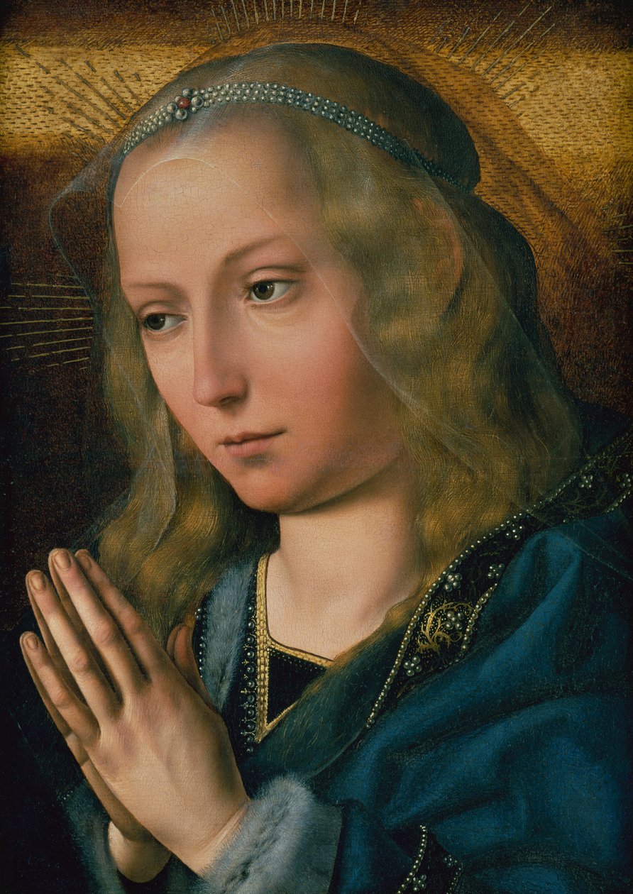 A Virgem em Adoração, c.1491-1505 (óleo sobre painel) de Quentin Massys or Metsys