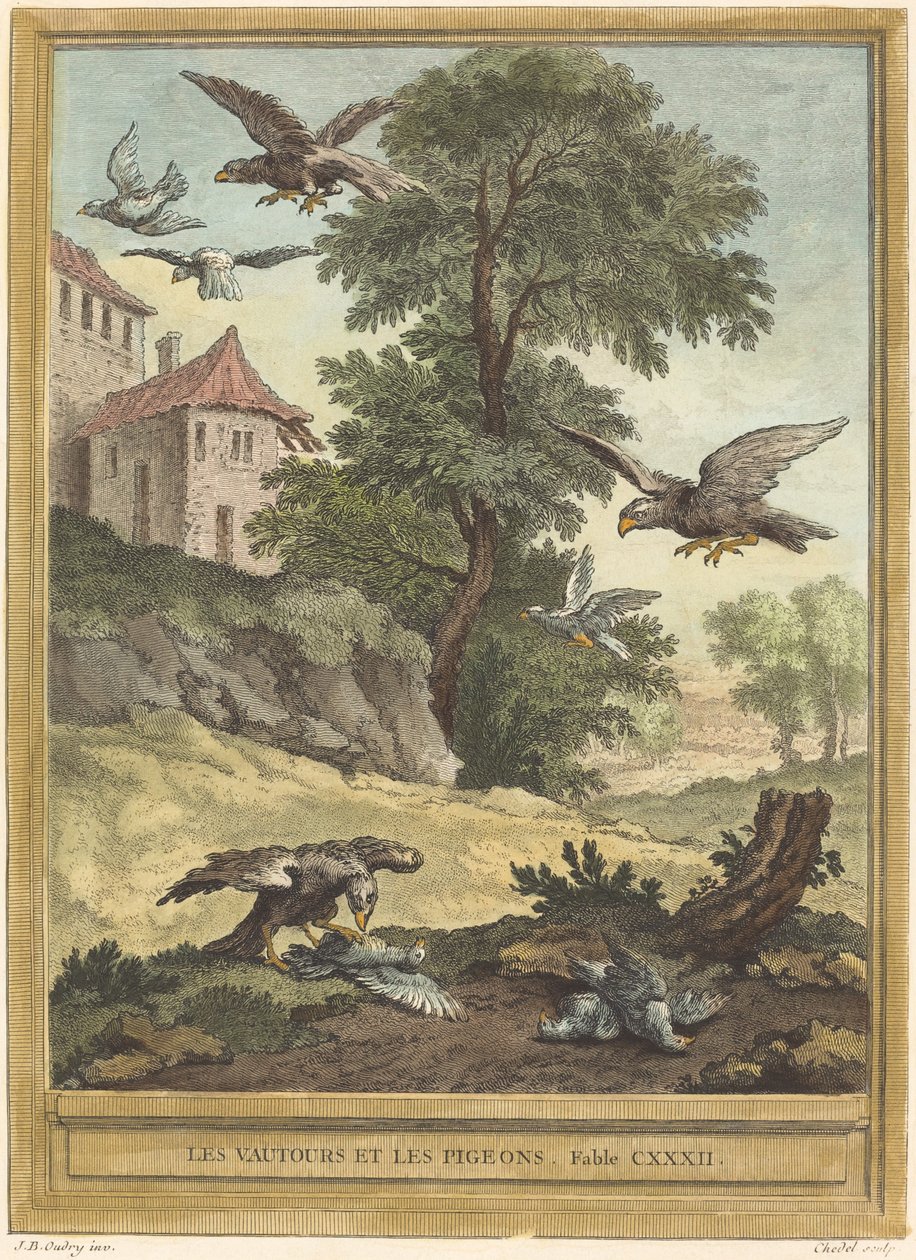 Abutres e pombos de Quentin Pierre Chedel after Jean Baptiste Oudry