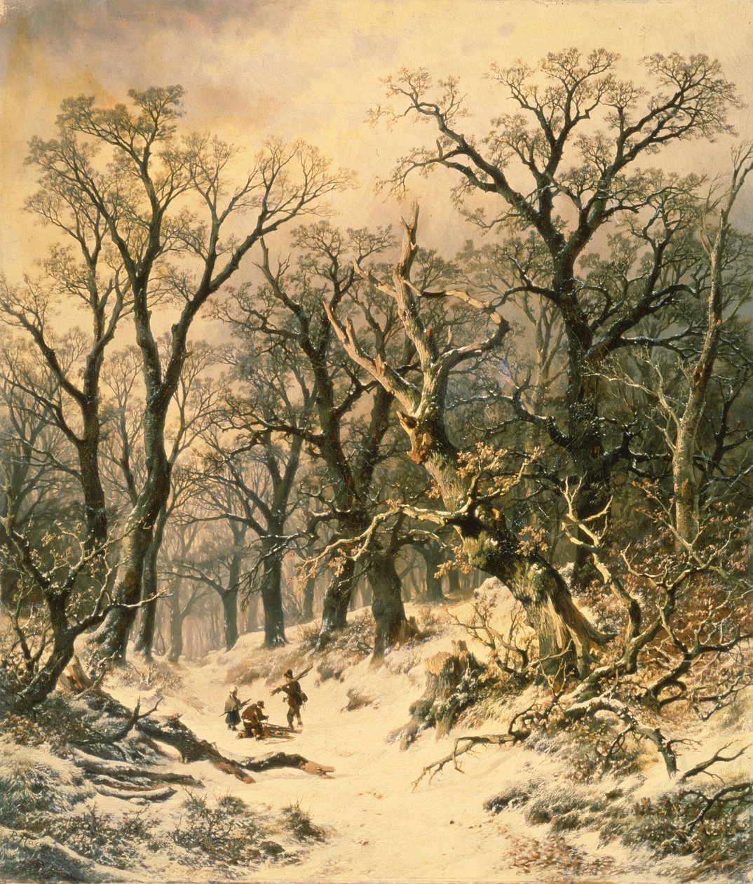 A floresta de R. Van Hannen