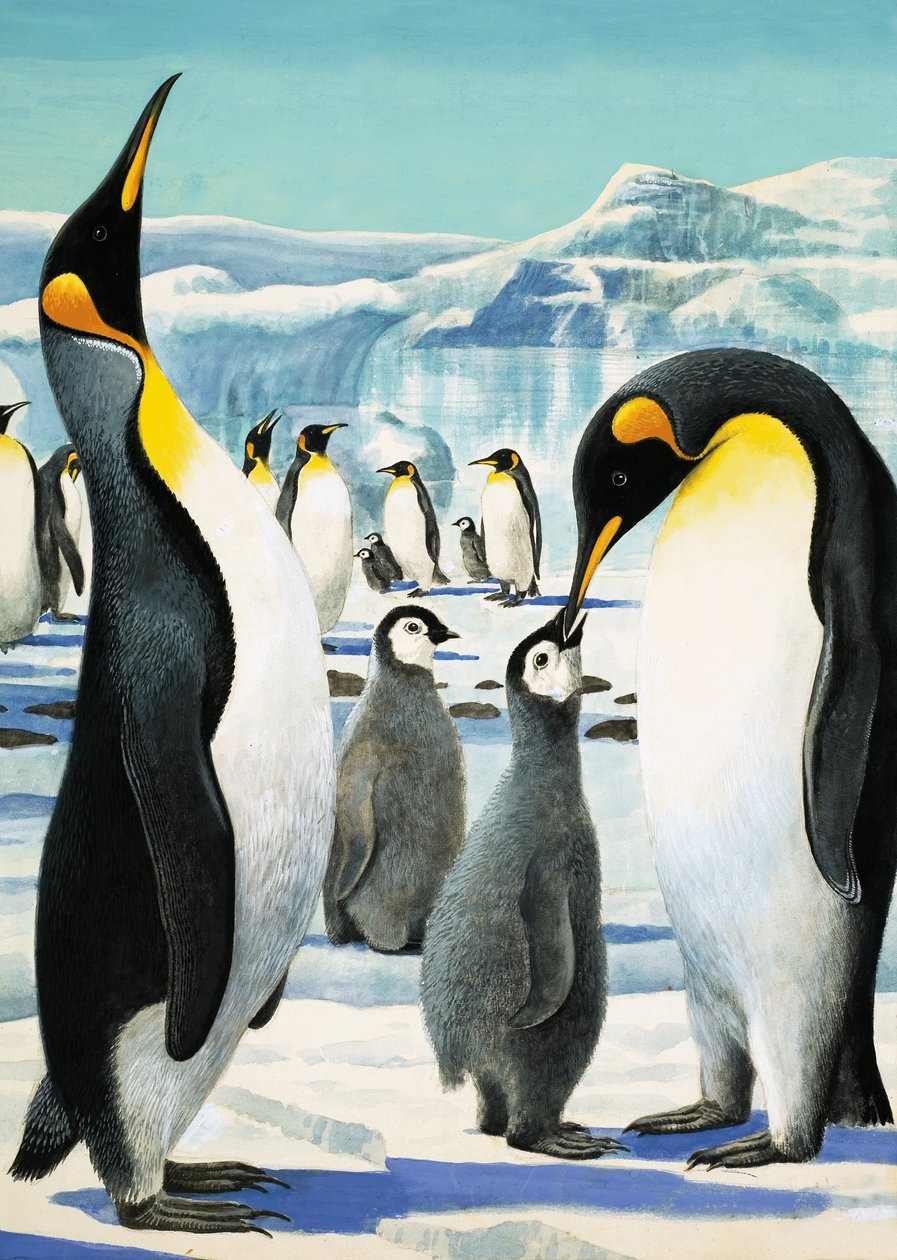 Rei Pinguim de R.B. Davis
