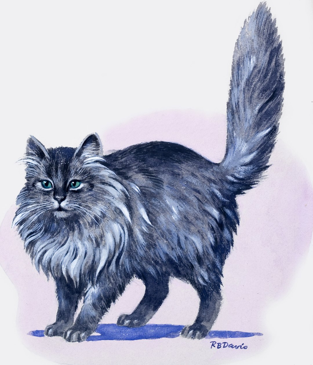 Gato persa, de "Treasure" (Tesouro) de R.B. Davis