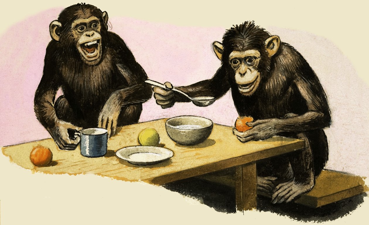 Z de Zoo. A festa de chá do chimpanzé de R.B. Davis