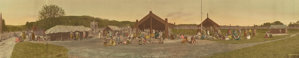Maori Pa, Rotorua, Nova Zelândia de R. P. Moore