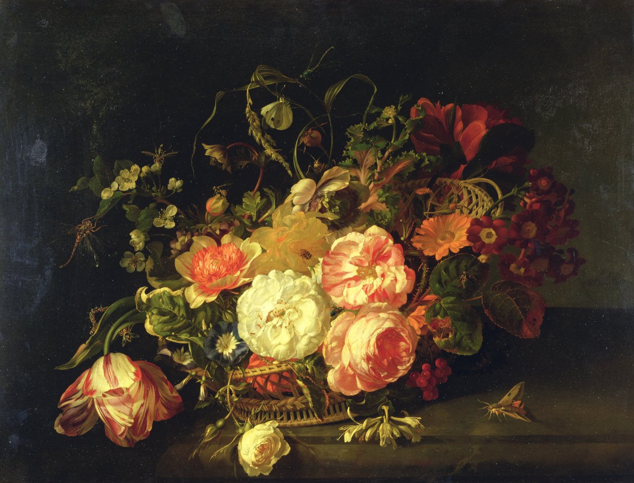 Flores e Insetos, 1711 de Rachel Ruysch