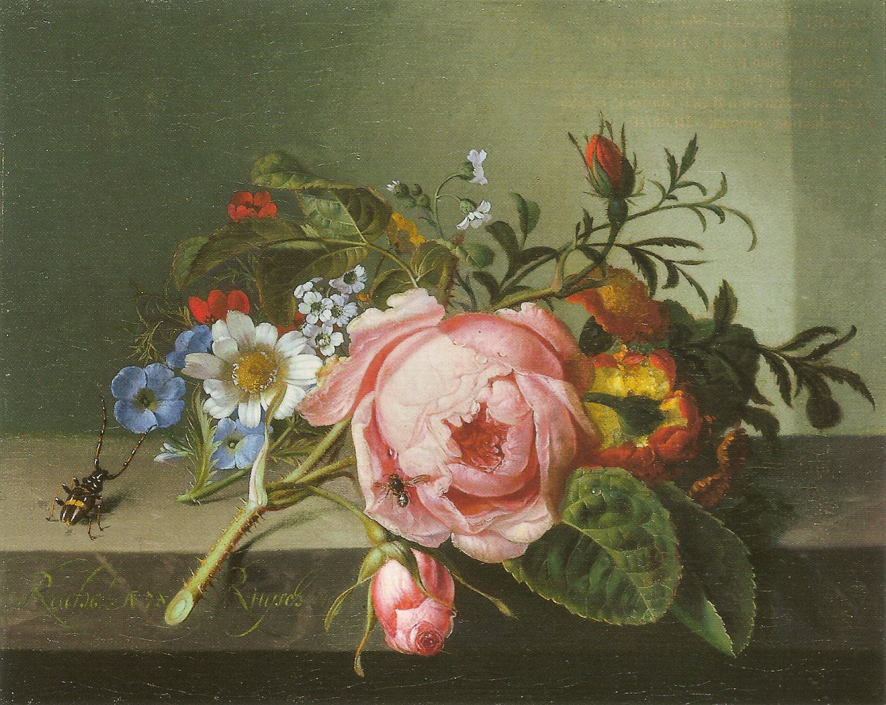 Ramo de rosa com besouro e abelha de Rachel Ruysch