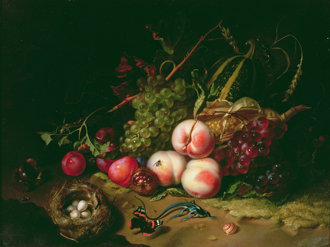 Ainda vida com fruta (painel) de Rachel Ruysch