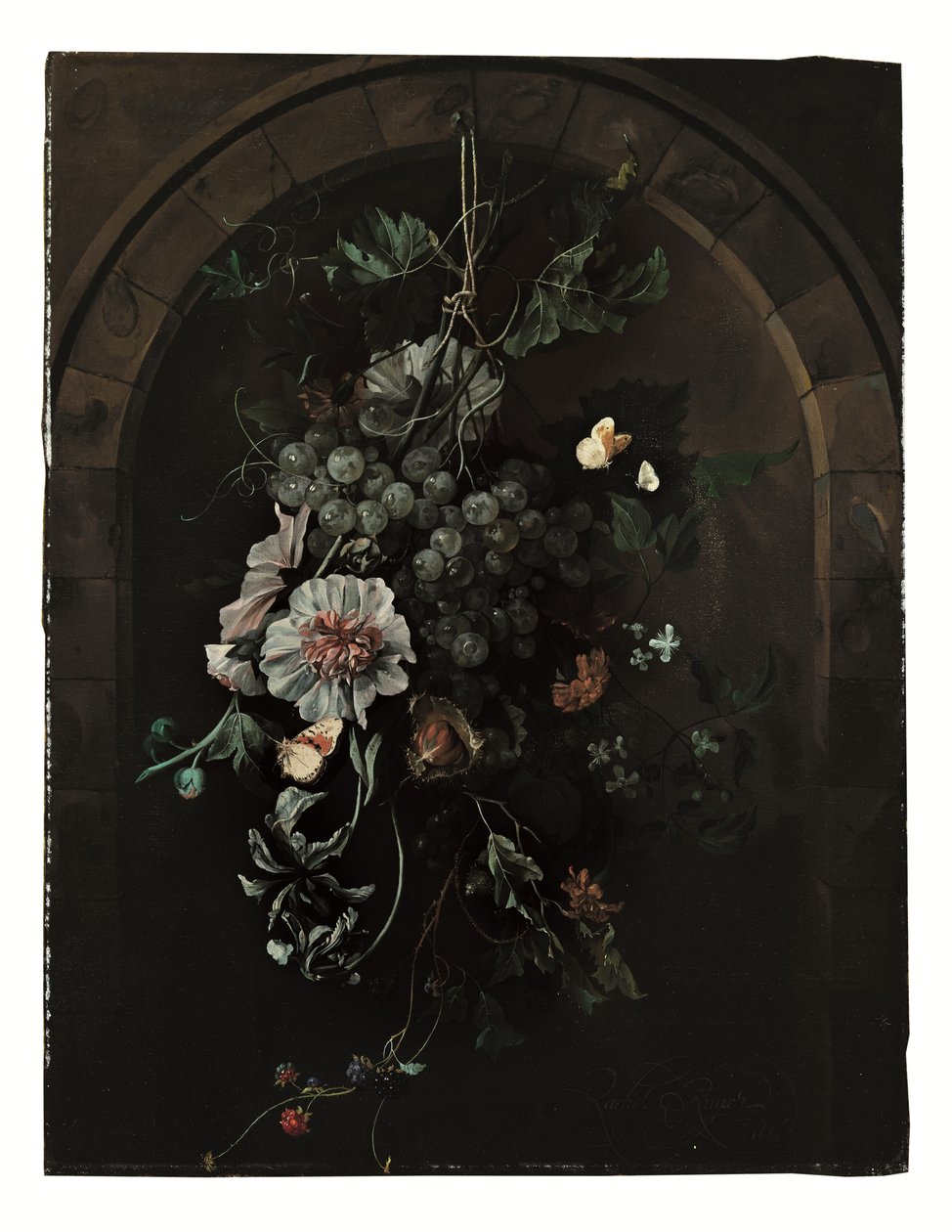 Um ramo de uvas, malvas-rosa, íris, malva, malmequeres africanos, clematis, um castanheiro e amoras com borboletas e outros insectos suspensos diante de um arco de pedra de Rachel Ruysch
