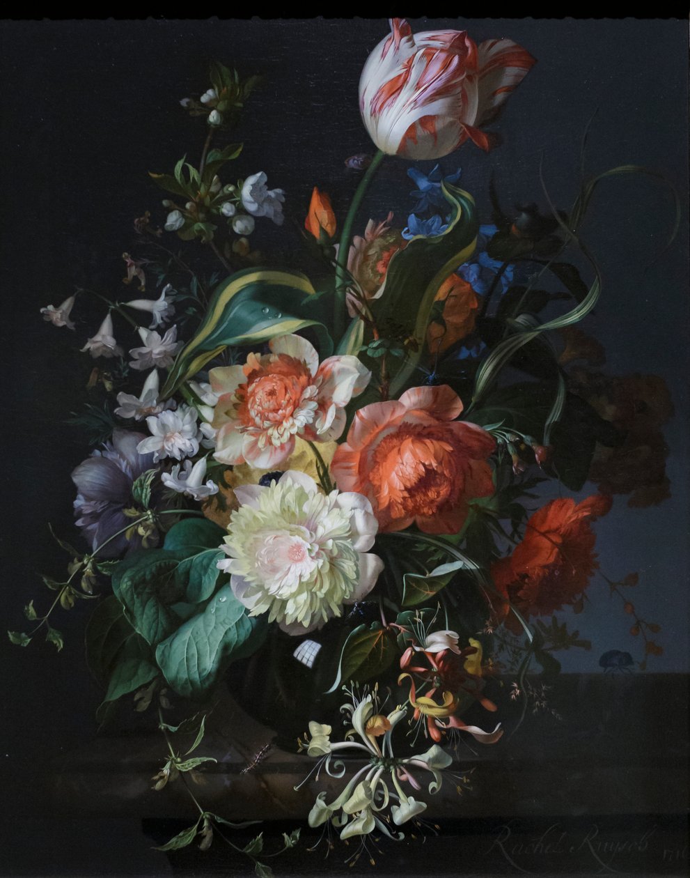 Flores num vaso de vidro com uma tulipa de Rachel Ruysch