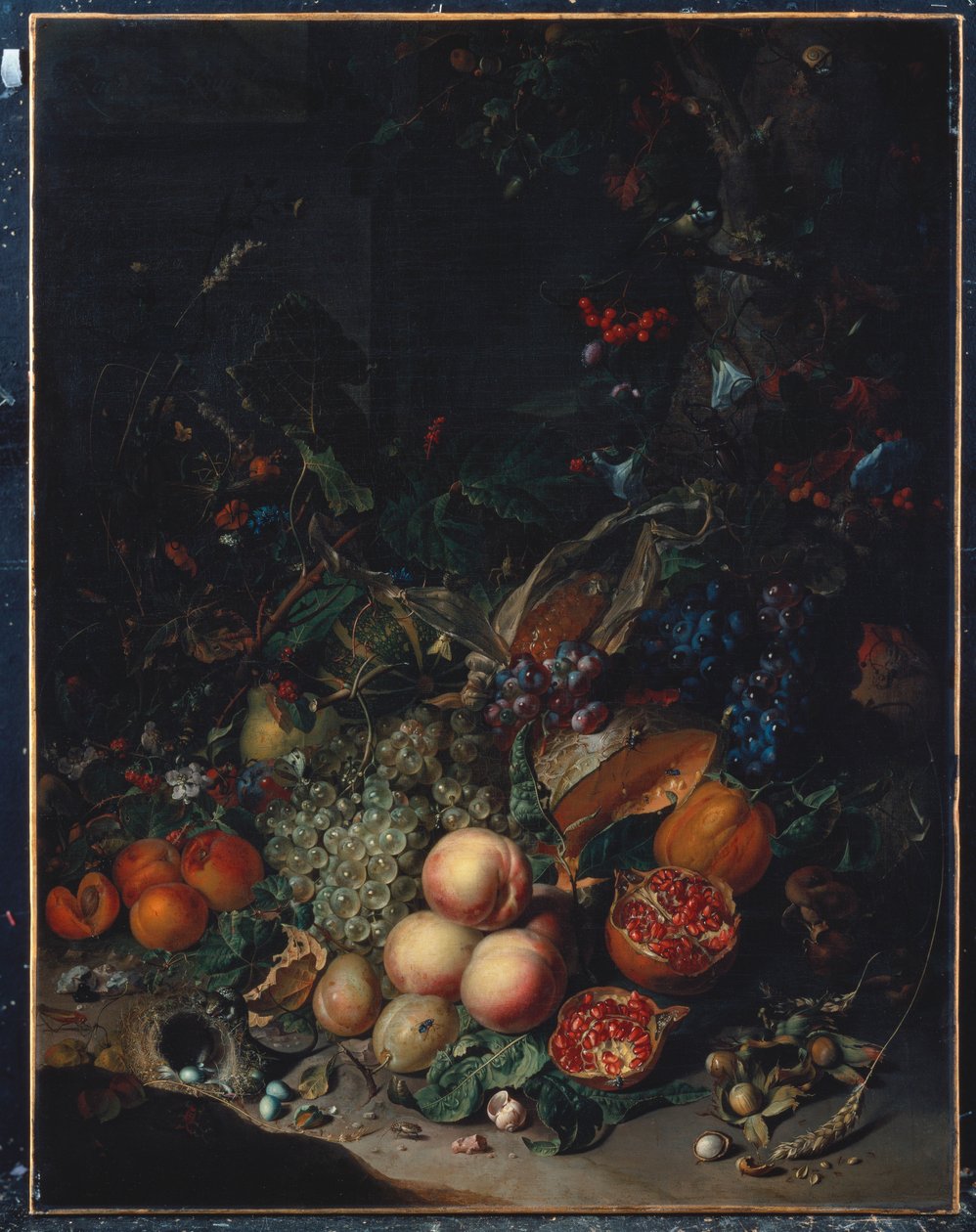 Pêssegos, uvas, romãs, melões, uma espiga de milho, damascos, ameixas, peras, bolotas, 1718 de Rachel Ruysch