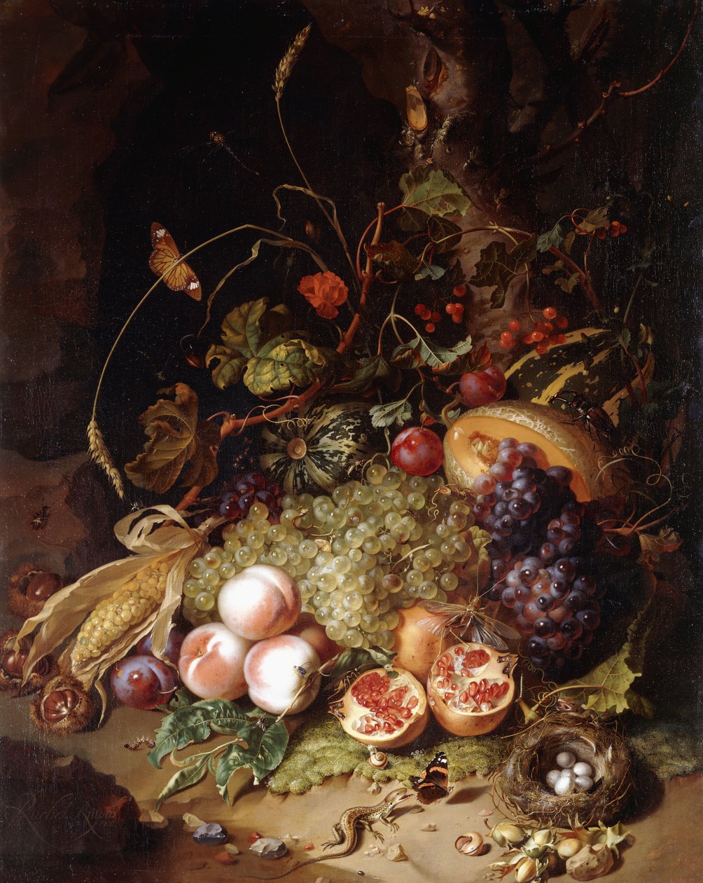 Natureza morta com frutas e insetos, de Rachel Ruysch