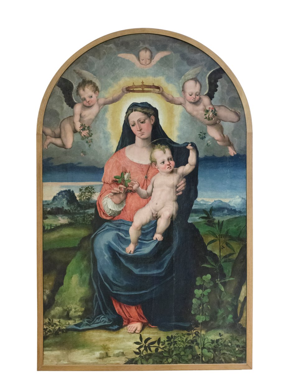 Madona com o Menino, antes de 1543 (óleo sobre painel) de Raffaellino di Michelangelo (16th century)
