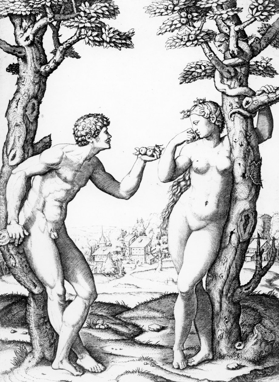 Adão e Eva, gravados por Marcantonio, c.1520 de Raffaello Sanzio Raphael