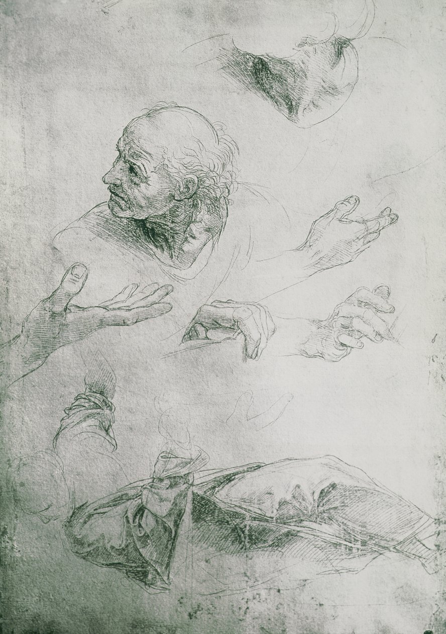 Estudos para a figura de Bramante (1444-1515) de Raffaello Sanzio Raphael
