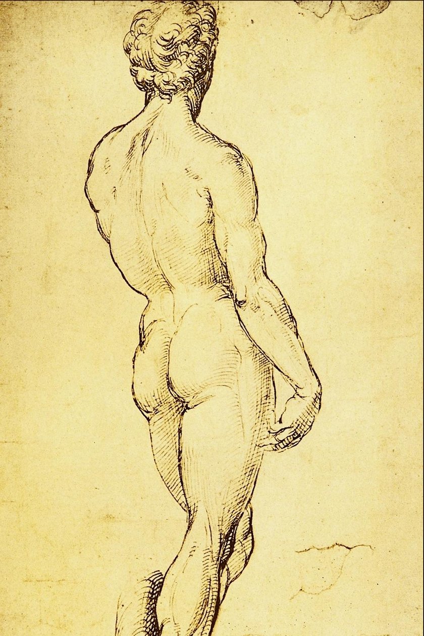 Estudo nu de Raffaello Sanzio Raphael